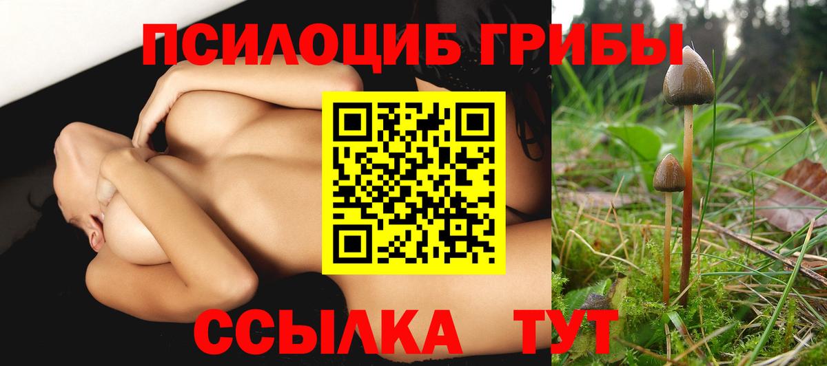Галлюциногенные грибы Psilocybe  Псилоцибиновые грибы GOLDEN TEACHER  Вход с VPN  Ачинск 